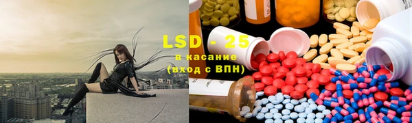 прущие грибы Алзамай