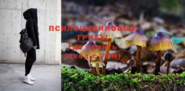 каннабис Алексеевка