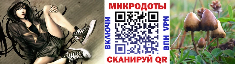 Купить  Тбилисская  Псилоцибиновые грибы Cubensis 